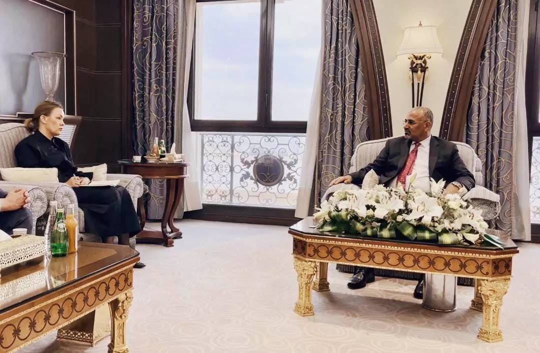 جانب من لقاء السفيرة الفنلندية جانب من لقاء السفيرة الفنلندية